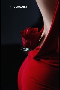 ������� ������ ��������