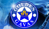  Golden Gavas