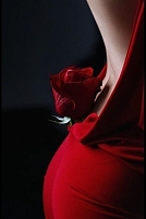 Девушка массажистка Вероника, салон Милана фото №1